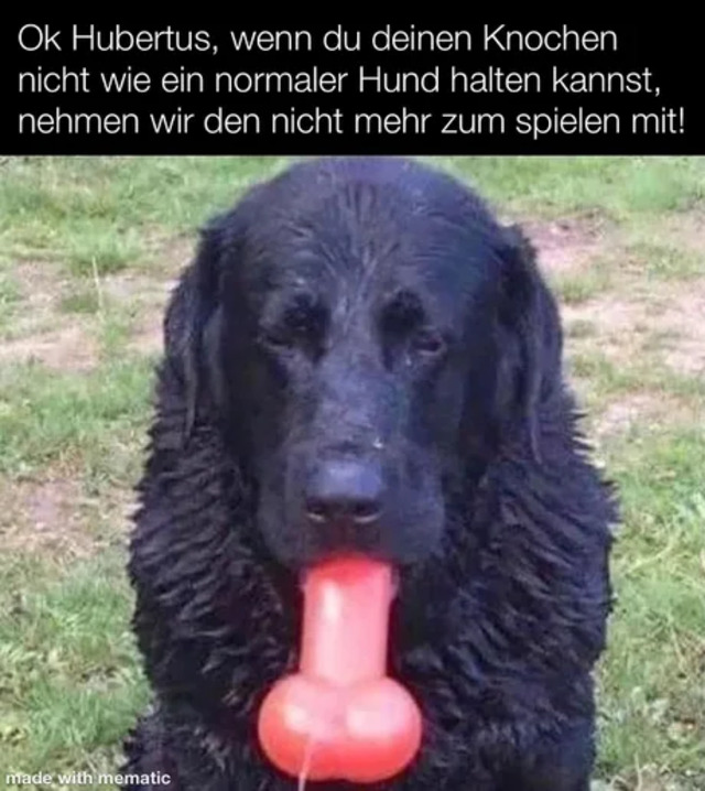 Bildschirmarbeiter - Picdump KW 11/2022