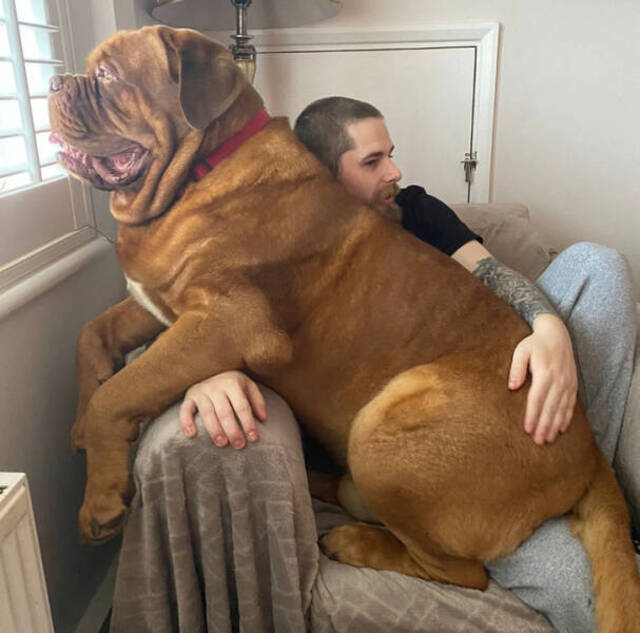 Bildschirmarbeiter - Picdump KW 11/2022