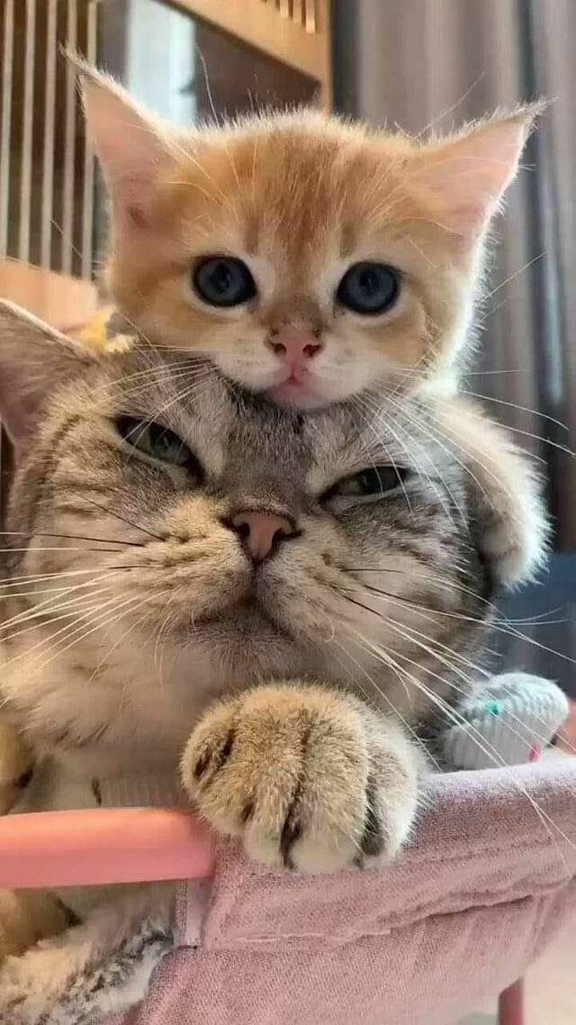 Bildschirmarbeiter - Picdump KW 11/2022