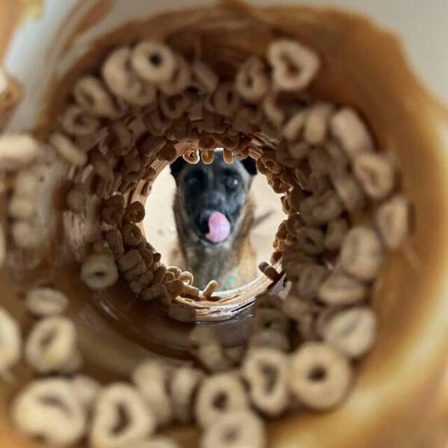 Bildschirmarbeiter - Picdump KW 11/2022