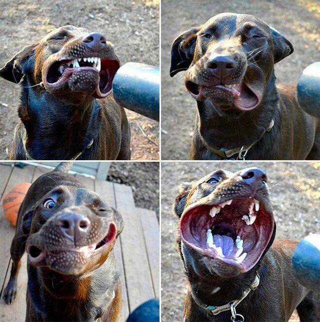 Bildschirmarbeiter - Picdump KW 11/2022