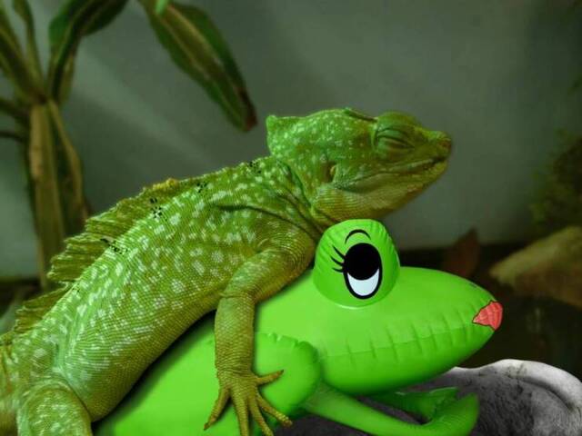 Bildschirmarbeiter - Picdump KW 11/2022