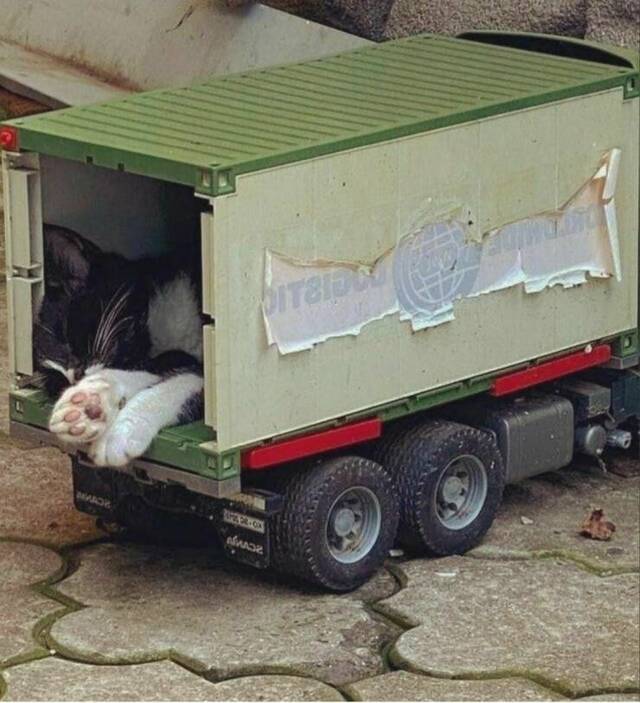 Bildschirmarbeiter - Picdump KW 11/2022