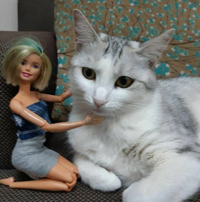 Bildschirmarbeiter - Picdump KW 11/2022