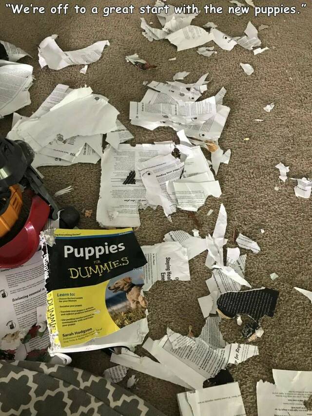 Bildschirmarbeiter - Picdump KW 11/2022