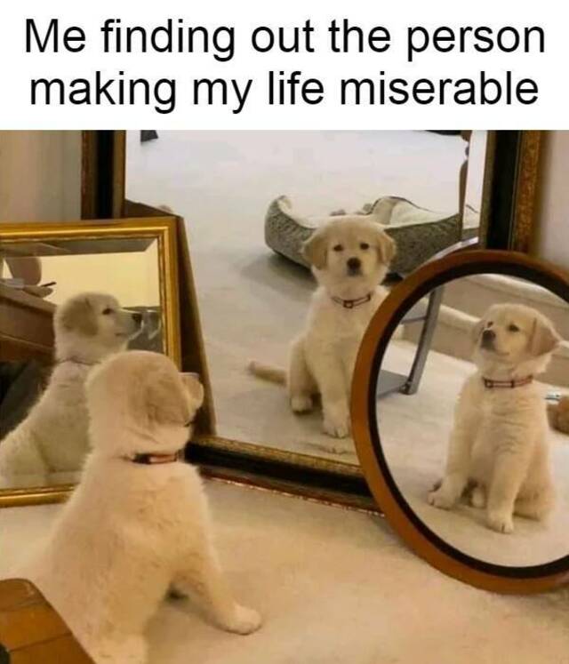 Bildschirmarbeiter - Picdump KW 11/2022