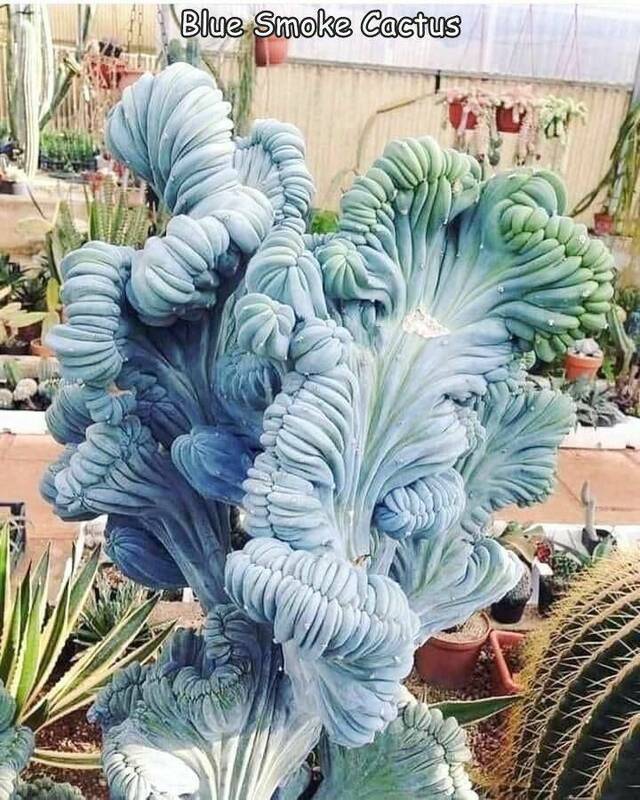 Bildschirmarbeiter - Picdump KW 11/2022