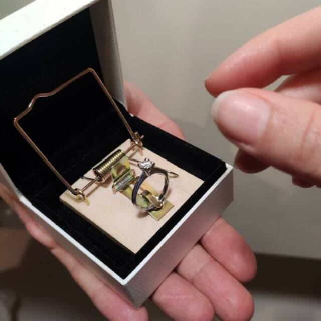 Bildschirmarbeiter - Picdump KW 11/2022