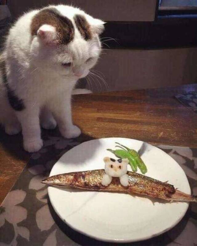 Nachschlag - Bildschirmarbeiter - Picdump KW 11/2022