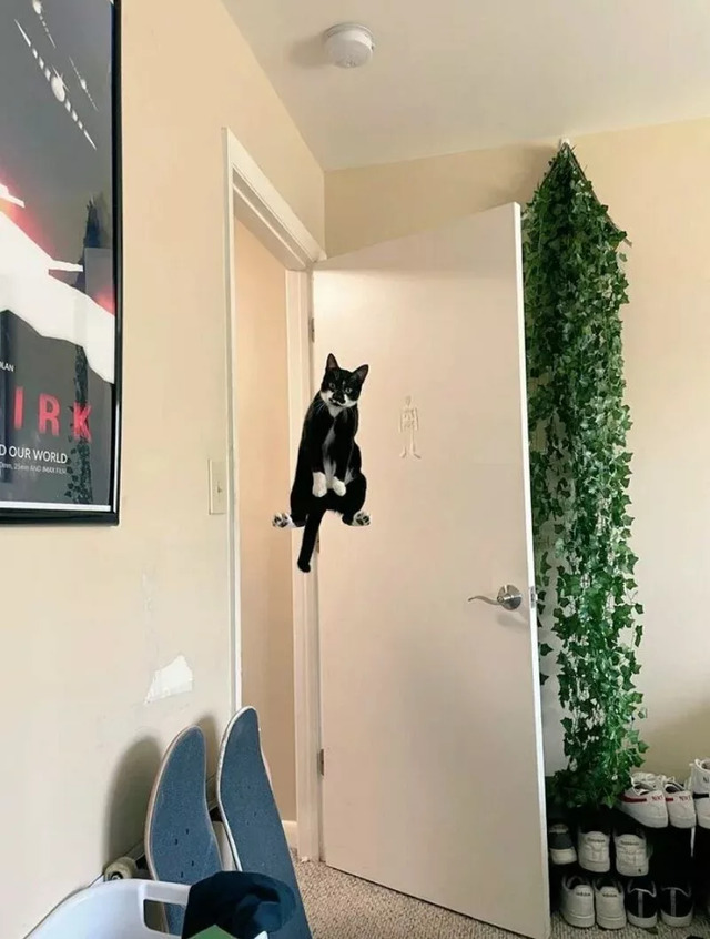 Nachschlag - Bildschirmarbeiter - Picdump KW 11/2022