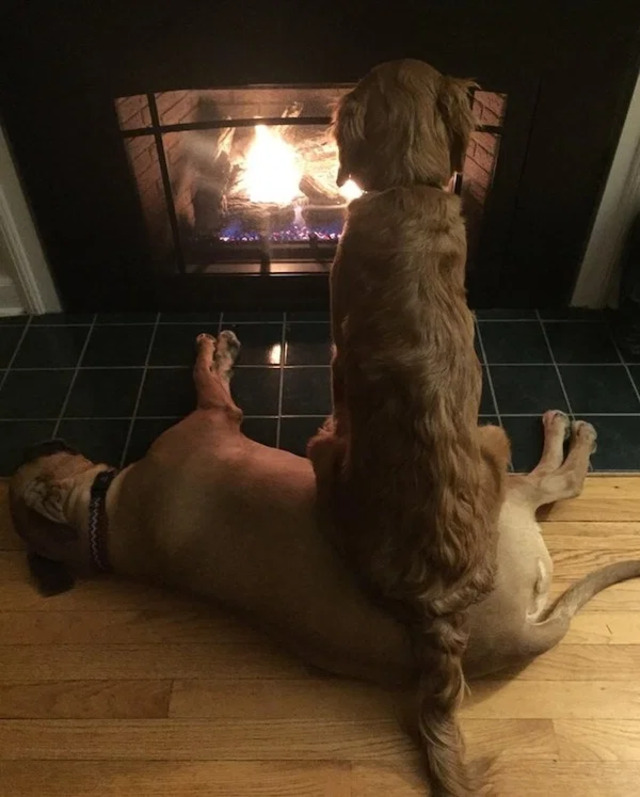 Bildschirmarbeiter - Picdump KW12 2021