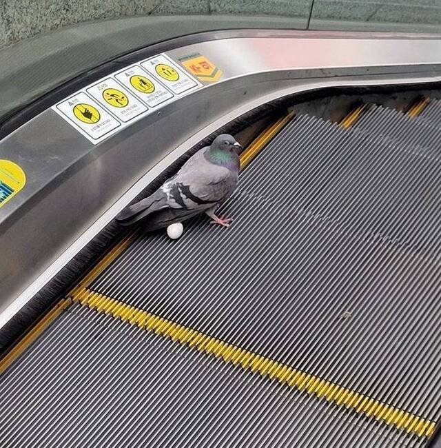 Bildschirmarbeiter - Picdump KW12 2021