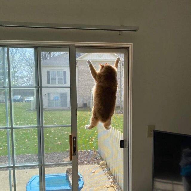 Bildschirmarbeiter - Picdump KW12 2021