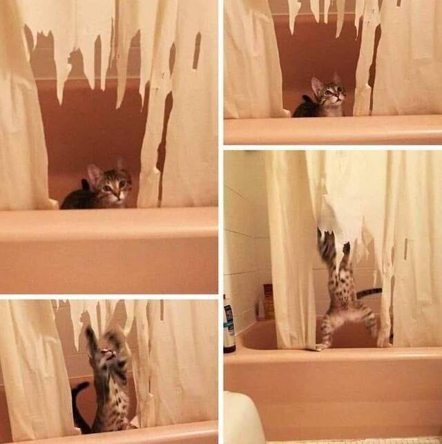 Bildschirmarbeiter - Picdump KW12 2021