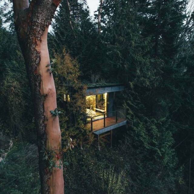 Bildschirmarbeiter - Picdump KW12 2021