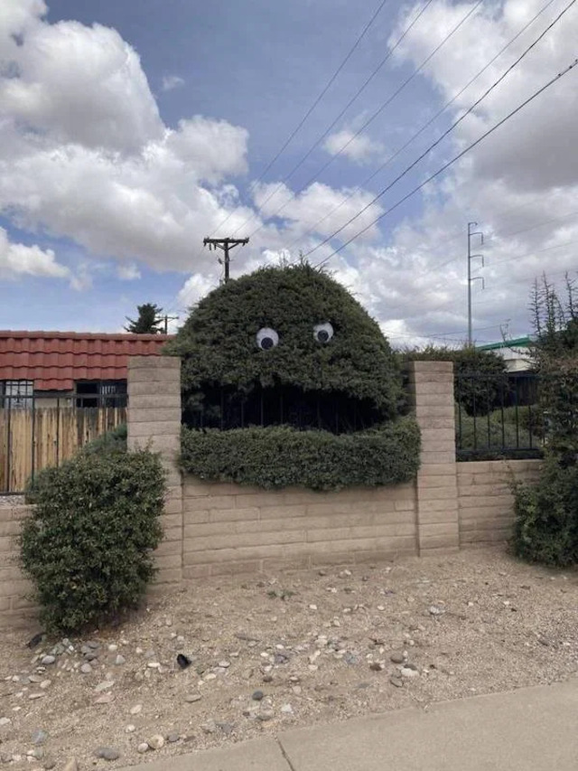 Bildschirmarbeiter - Picdump KW12 2021