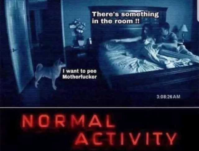 Bildschirmarbeiter - Picdump KW12 2021