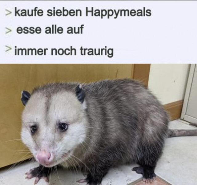 Bildschirmarbeiter - Picdump KW 12/2026