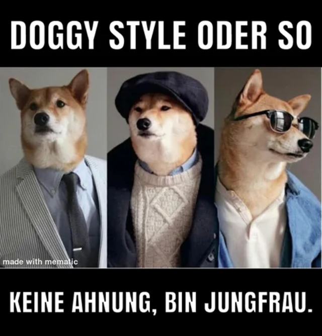 Bildschirmarbeiter - Picdump KW13 2021