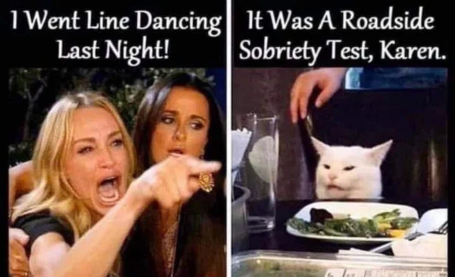 Bildschirmarbeiter - Picdump KW13 2021