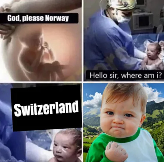 Bildschirmarbeiter - Picdump KW13 2021