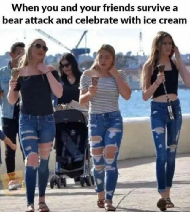 Bildschirmarbeiter - Picdump KW13 2021