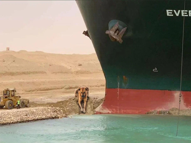 Bildschirmarbeiter - Picdump KW13 2021