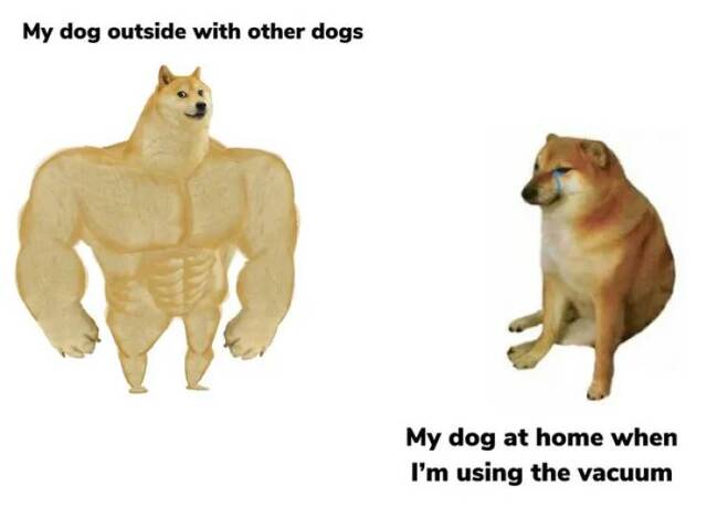 Bildschirmarbeiter - Picdump KW13 2021