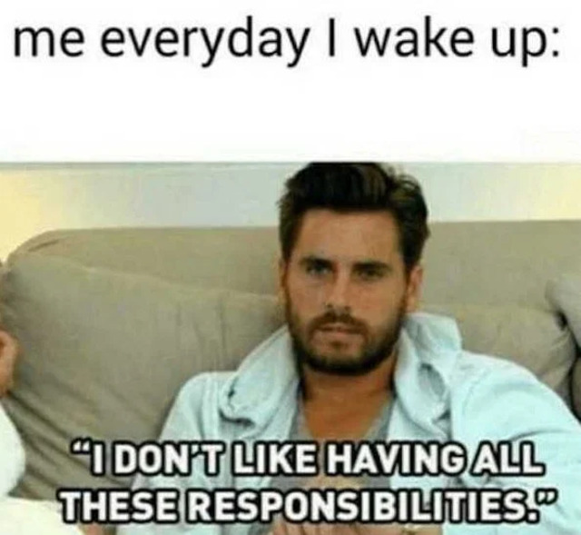 Bildschirmarbeiter - Picdump KW13 2021