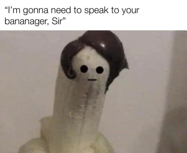 Bildschirmarbeiter - Picdump KW13 2021