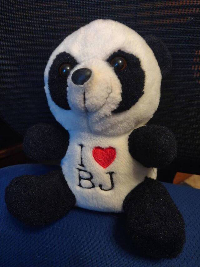 Bildschirmarbeiter - Picdump KW13 2021