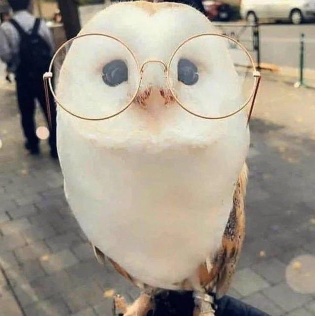 Bildschirmarbeiter - Picdump KW13 2021