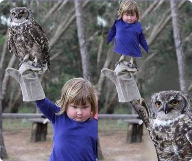 Bildschirmarbeiter - Picdump KW13 2021