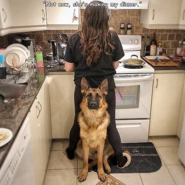 Bildschirmarbeiter - Picdump KW13 2021