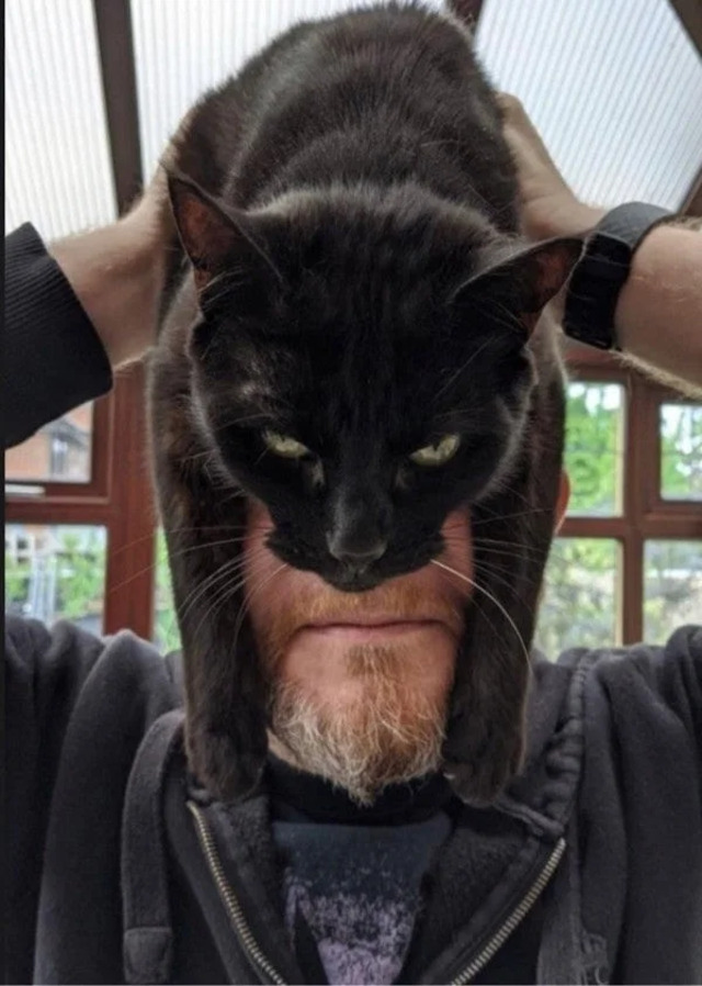 Bildschirmarbeiter - Picdump KW13 2021