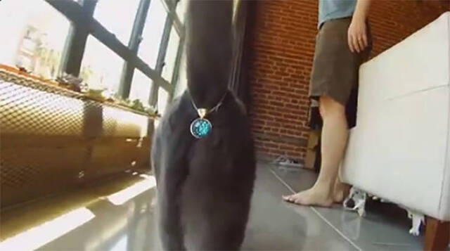 Bildschirmarbeiter - Picdump KW13 2021