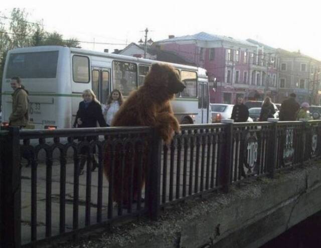 Nachschlag - Bildschirmarbeiter - Picdump KW 13/2022