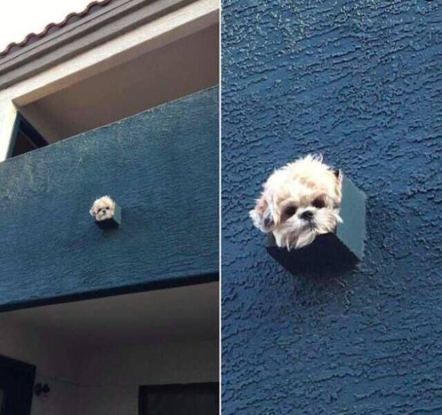 Nachschlag - Bildschirmarbeiter - Picdump KW 13/2022