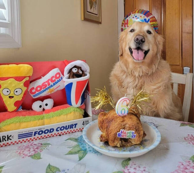 Nachschlag - Bildschirmarbeiter - Picdump KW 13/2022