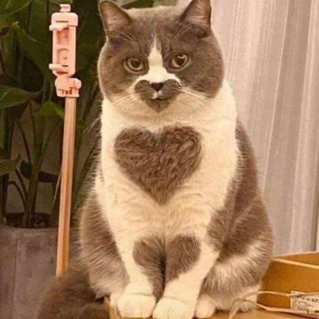 Nachschlag - Bildschirmarbeiter - Picdump KW 13/2022