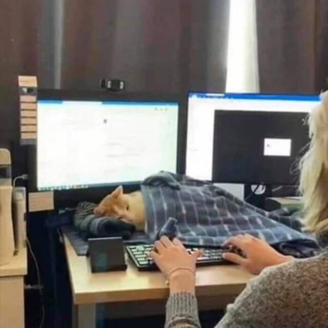 Nachschlag - Bildschirmarbeiter - Picdump KW 13/2022