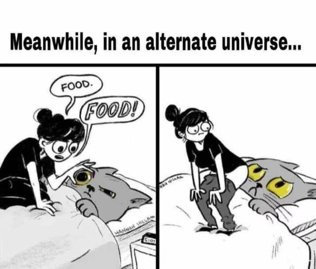 Nachschlag - Bildschirmarbeiter - Picdump KW 13/2022