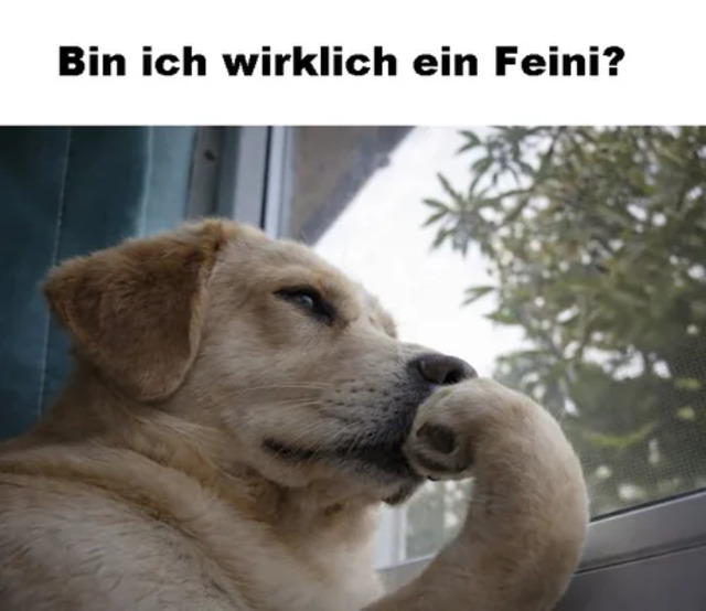 Bildschirmarbeiter - Picdump KW 13/2026