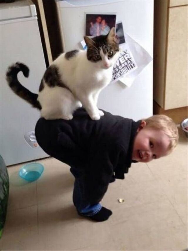 Bildschirmarbeiter - Picdump KW 13/2026