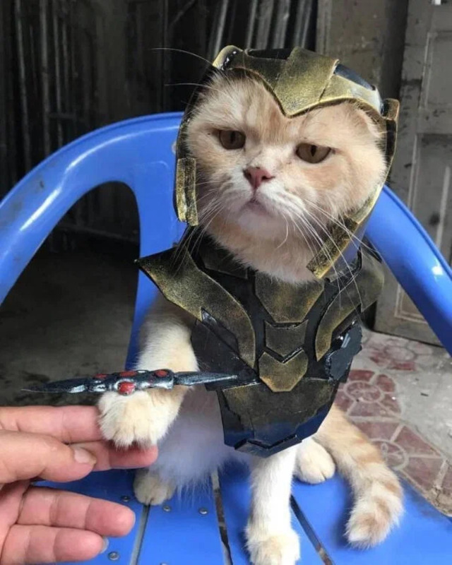 Bildschirmarbeiter - Picdump KW14 2021