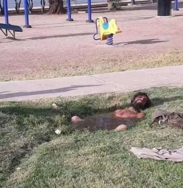 Bildschirmarbeiter - Picdump KW14 2021