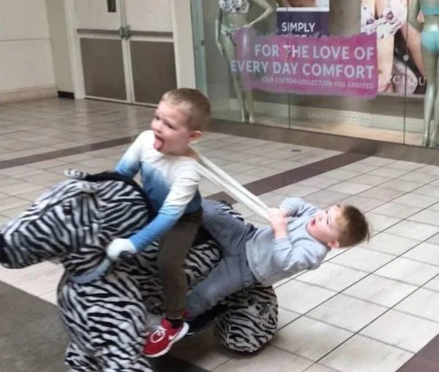 Bildschirmarbeiter - Picdump KW14 2021