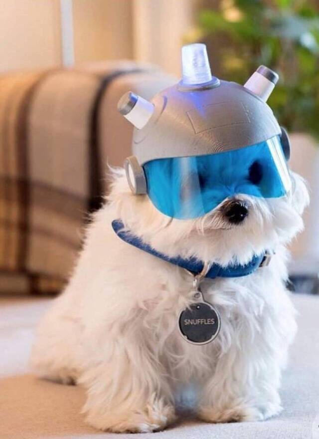 Bildschirmarbeiter - Picdump KW14 2021