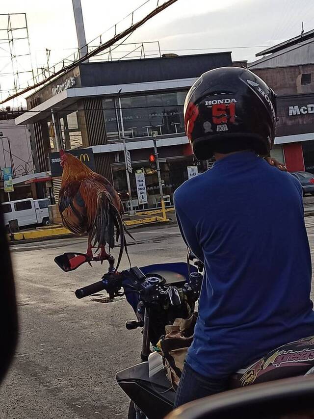 Bildschirmarbeiter - Picdump KW14 2021