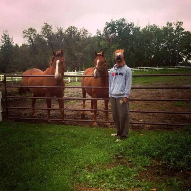 Bildschirmarbeiter - Picdump KW14 2021